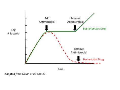 Bacteriostaticvsbactericidal Tusom Pharmwiki