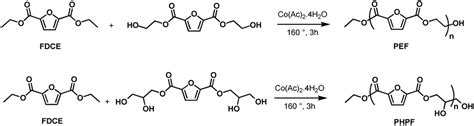 Beyond 25 Furandicarboxylic Acid Status Quo Environmental