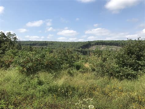 Sleepy Creek WMA provides hunting, fishing and outdoor adventures in WV