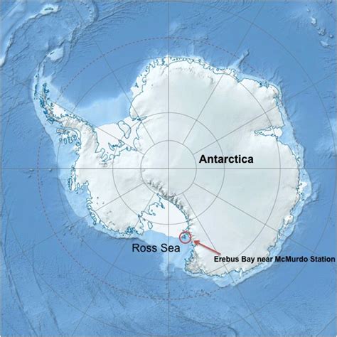 Seal Team Kickoff | Field Diaries – Weddell Seal Team – woman scientist