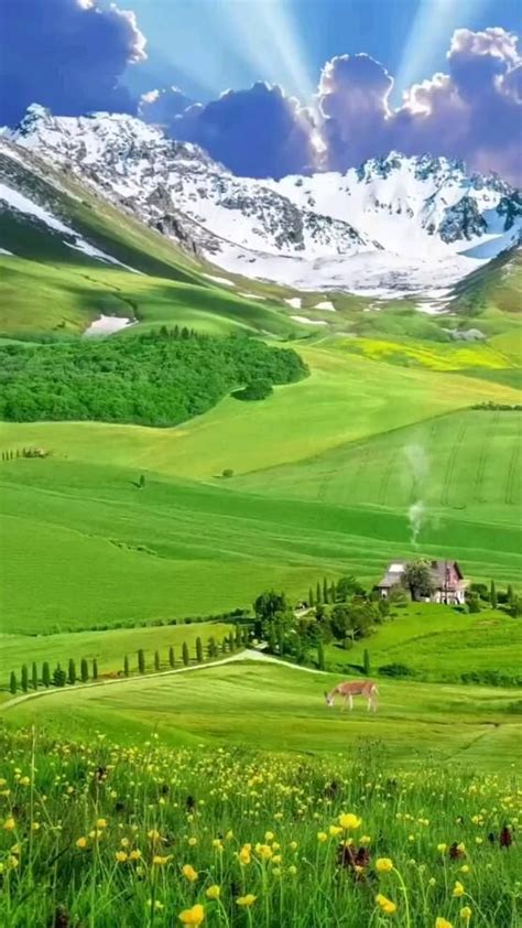 Pin de Cida Prado em Pins criados por você Lindas paisagens