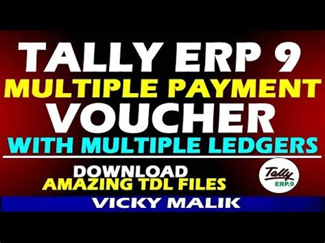 Tally Free TDL Tally Auto Payment Entry Tally Multiple Payment