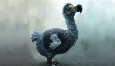 Facts About The Dodo and Its Extinction - FactsandHistory