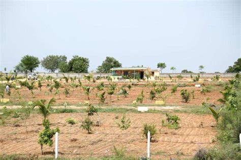 Agricultural Land Sq Yards For Sale In Adikmet Hyderabad Rei