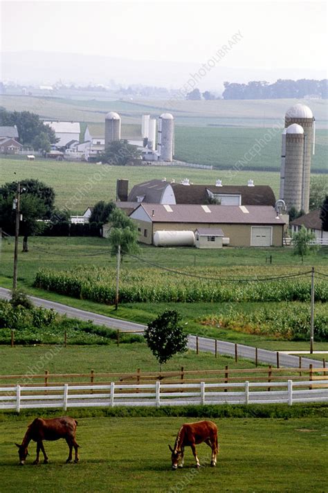 Amish Country, Pennsylvania, USA - Stock Image - C012/9383 - Science ...