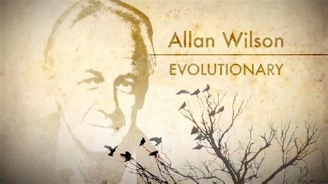 Allan Wilson Revolutionary Evolutionist Life Sciences Te Ara