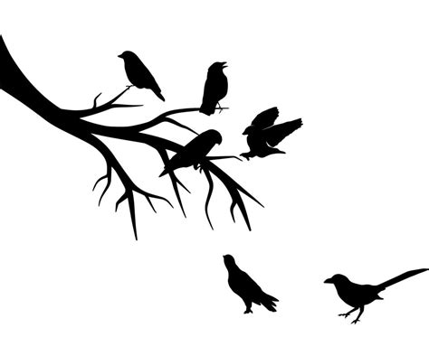 bird  tree branch silhouette illustrations  vector art
