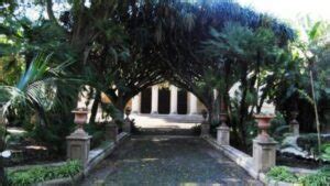 All Orto botanico di Catania mercoledì 3 luglio si presenta Il