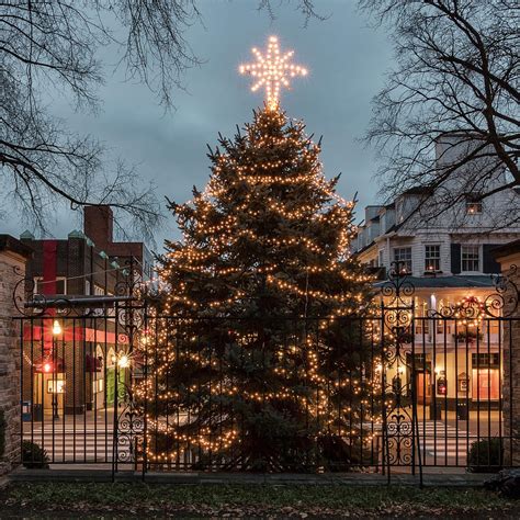 State College Christmas Tree Photograph by Rusty Glessner | Fine Art ...