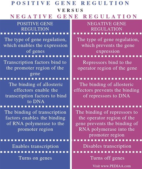 Positive Gene Regulation Vs Negative Gene Regulation