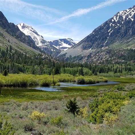 Flooded meadows in Lee Vining Canyon