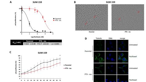 Unraveling The Mysteries Of TNBC Treatment And PTX Resistance Recent