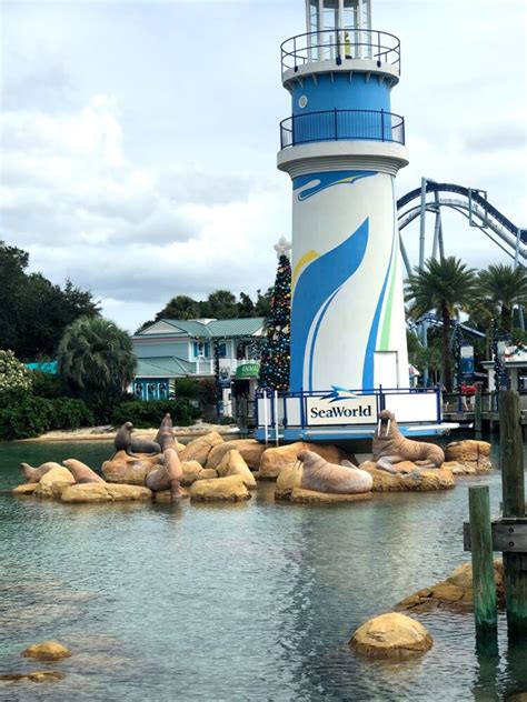 SeaWorld Orlando - Recreation Stays