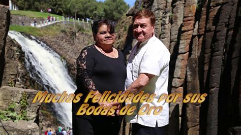 Video Bodas De Oro YouTube