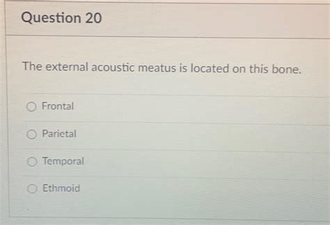 Solved Question 20The external acoustic meatus is located on | Chegg.com 