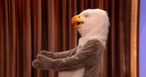 Andy Samberg  Find On Er