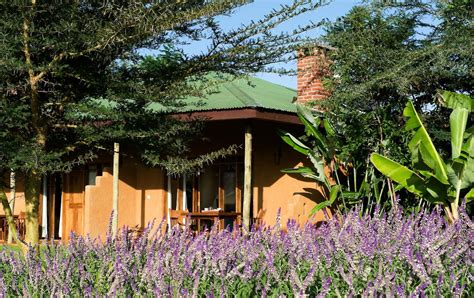 Ngorongoro Farm House - See description and beautiful photos - Explore ...