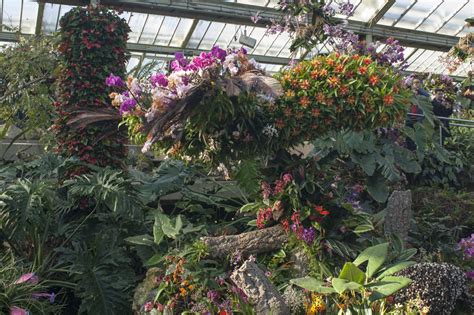 Top Imagen Kew Gardens Orchid Festival Abzlocal Fi