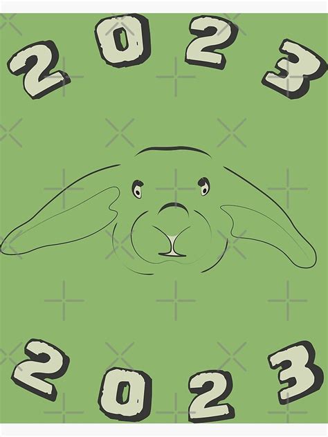 The Year Of The Rabbit 2023 Poster For Sale By Ddffa Redbubble