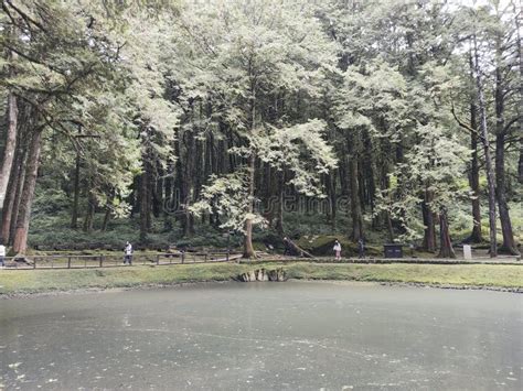 Landscape Of Sister Ponds In Alishan National Forest Recreation Area In