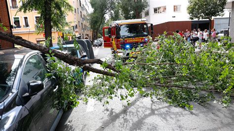 Madrid registra rachas de viento de hasta 50km h que provocan caída de