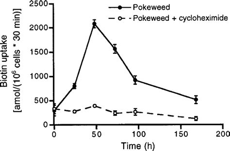 Time Course Of 3 H Biotin Uptake Into Proliferating Human Pbmc Pbmc