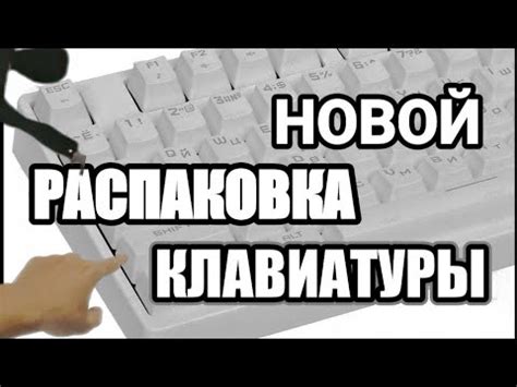 КУПИЛ НОВУЮ КЛАВИАТРУ???!!! - YouTube