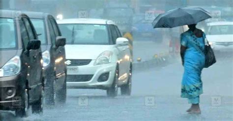 Heavy Rain Likely In Kerala Till Sept 3 Yellow Alert In 10 Districts