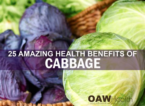 Amazing Health Benefits Of Cabbage Oawhealth