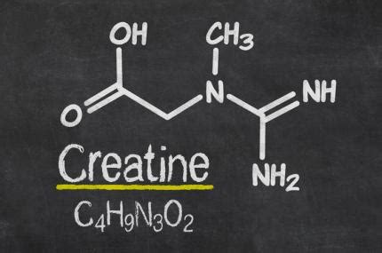 Types of Creatine | MUSCLE INSIDER