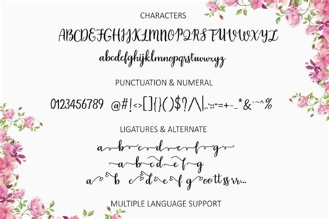 Daylily Script Font Masterbundles