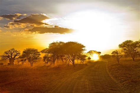 Wallpaper Sunlight Trees Landscape Sunset Hill Nature Sand Sky Field Road Sunrise