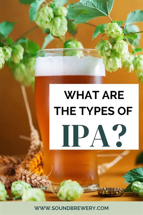 What Are The Types Of Ipa Sound Brewery Ipa Ipa Recipe Ipa