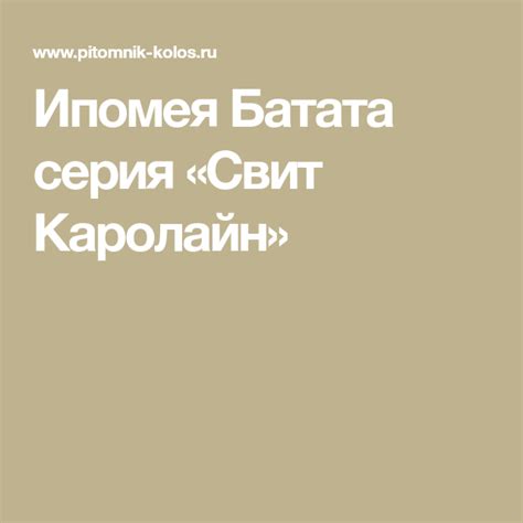 Ипомея Батата серия «Свит Каролайн» | Батат