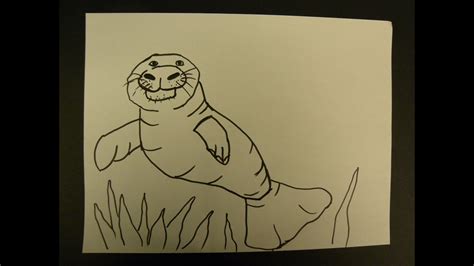 Kids Can Draw: Easy to Draw Manatee - YouTube