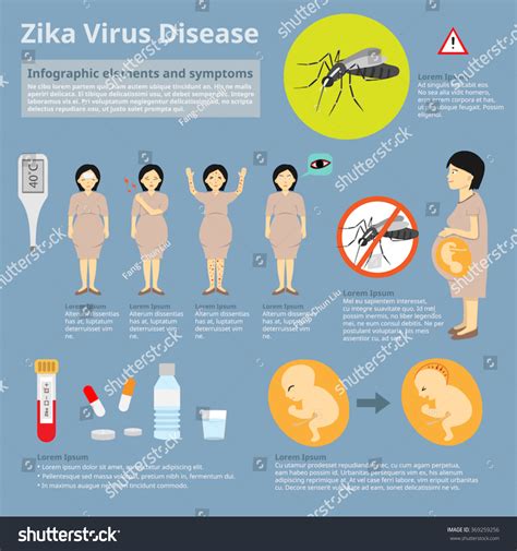 Zika Virus Disease Infographic Elements Symptoms Stock Vector Royalty