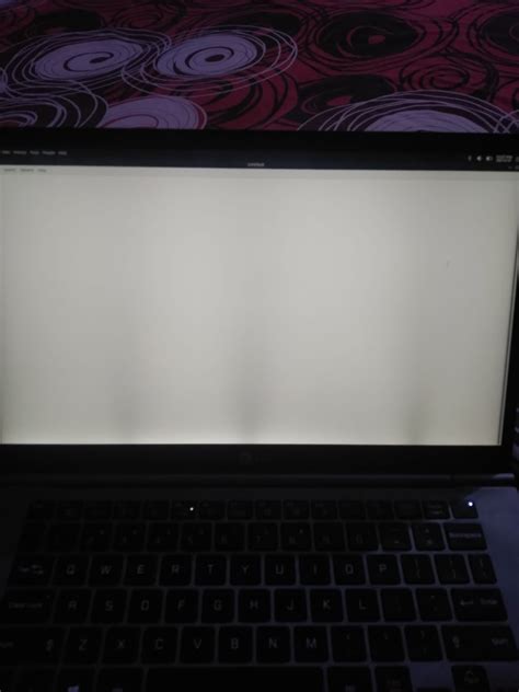 green line at bottom of laptop screen 2