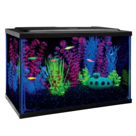 GloFish GLOAFish Starter Kit Aquarium Reviews 2019