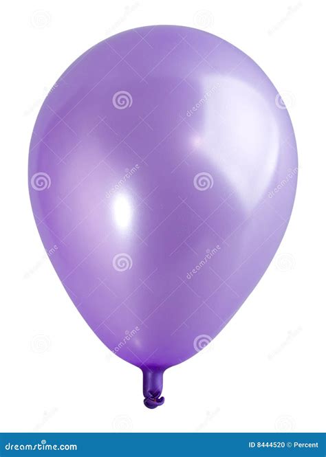 Swollen Violet Balloon Stock Photo Image Of Balloon Celebration 8444520