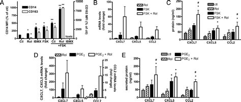 Elevated Cyclic Amp And Pde4 Inhibition Induce Chemokine Expression In