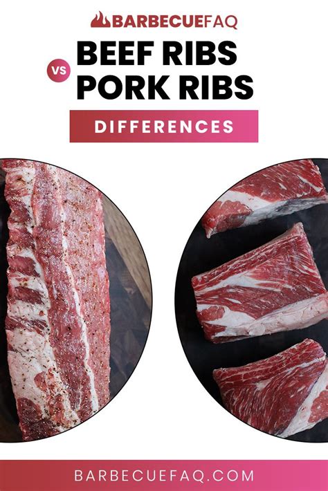 Beef Ribs Vs Pork Ribs Differences Explained Beef Ribs Pork Ribs Pork