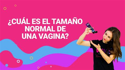 Cu L Es El Tama O Normal De Una Vagina Todo Lo Que Necesitas