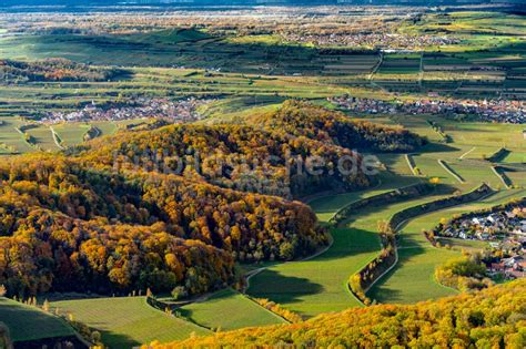 Luftaufnahme Amoltern Herbstluftbild Weinbergs Landschaft Der Winzer