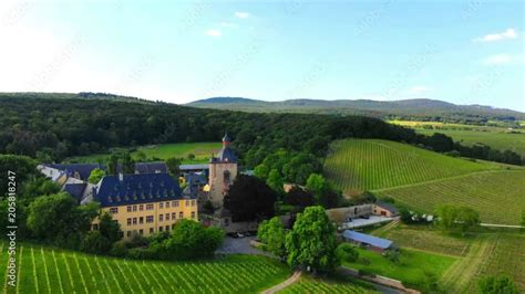 Luftbild Rheingau Oestrich Winkel Weinberge Schloss Vollrads