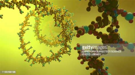 Nucleic Acid Illustration High Res Vector Graphic Getty Images