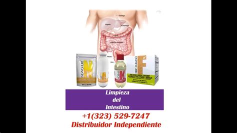 Limpieza Intestinal Con Productos Omnilife YouTube