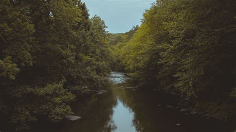 river, trees, water, nature, landscape, 4k HD Wallpaper