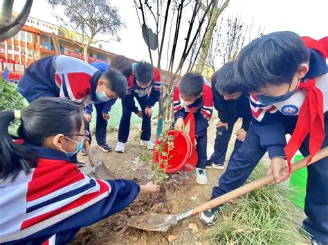 学习植树知识 奏响绿色旋律——实验中学开展植树节活动 邯郸市邯山区实验中学