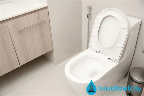 light-brown-bathroom-how-can-a-toilet-improve-one-piece-toilet-bowl-city-singapore - Toilet Bowl ...