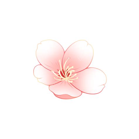 Spring Elegant Single Cherry Blossom Theme Element Cherry Blossoms